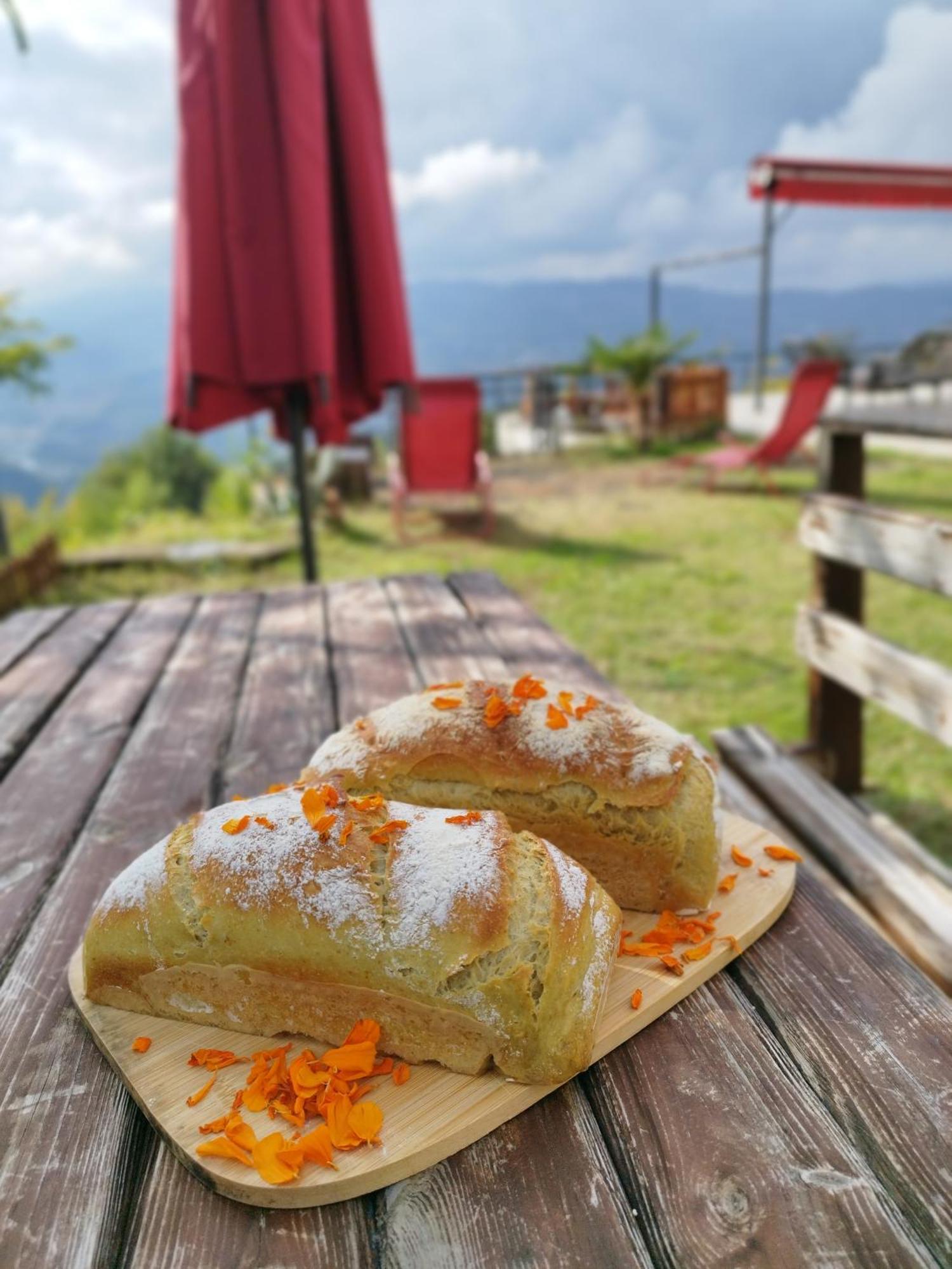 Hayat Oksijen Resort Ordu Eksteriør bilde
